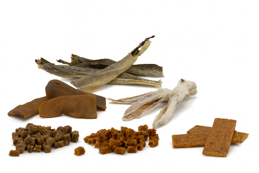Hypoallergene Snackbox voor honden