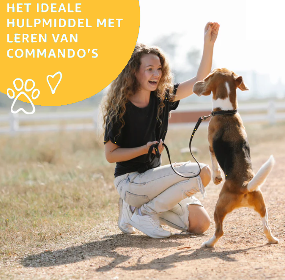 Runderlong Trainers – Lekkere Mini-Snacks voor Slimme Honden